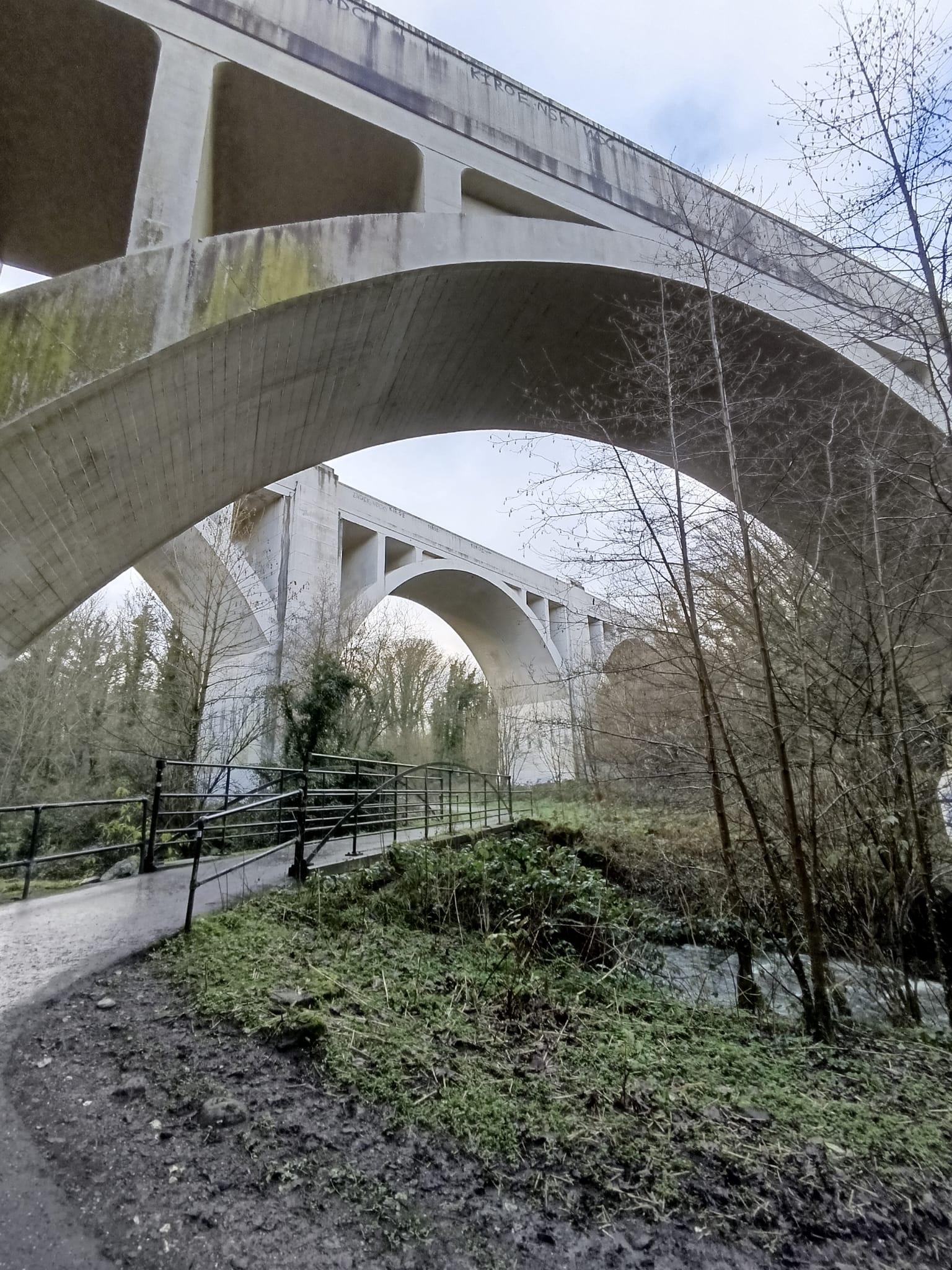 Путешествие РОСИ - фото 6